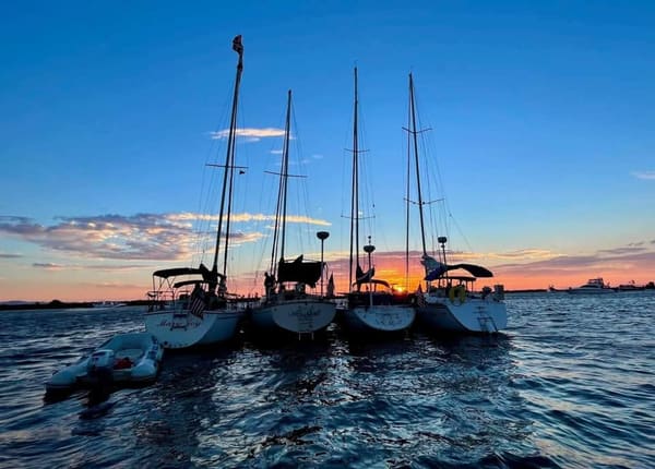 Four sailboats anchored on open water at sunset
